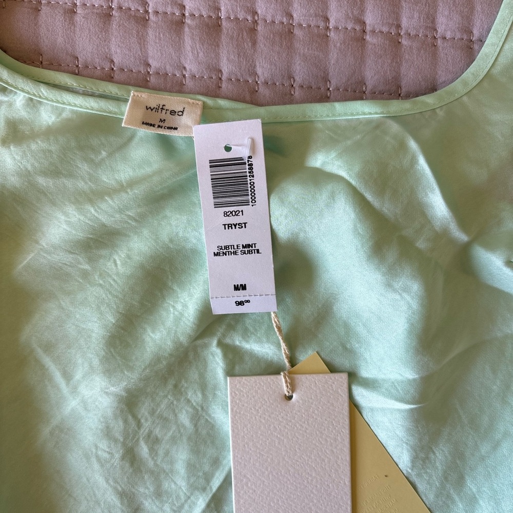 Aritzia Wilfred Subtile Mint Mini Dress